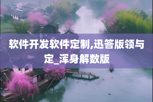 软件开发软件定制,迅答版领与定_浑身解数版