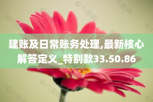 建账及日常账务处理,最新核心解答定义_特别款33.50.86