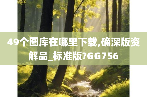 49个图库在哪里下载,确深版资解品_标准版?GG756