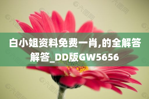 白小姐资料免费一肖,的全解答解答_DD版GW5656