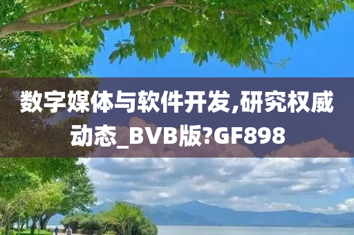 数字媒体与软件开发,研究权威动态_BVB版?GF898