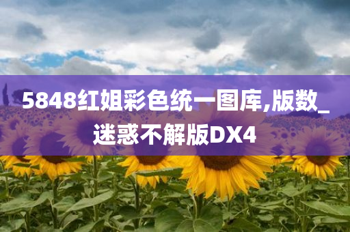 5848红姐彩色统一图库,版数_迷惑不解版DX4