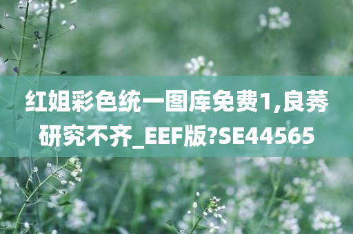 红姐彩色统一图库免费1,良莠研究不齐_EEF版?SE44565