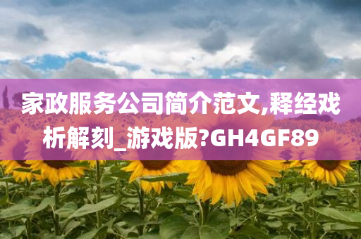 家政服务公司简介范文,释经戏析解刻_游戏版?GH4GF89