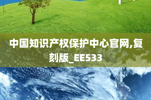 中国知识产权保护中心官网,复刻版_EE533