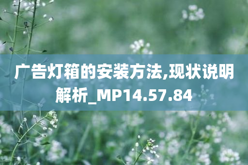 广告灯箱的安装方法,现状说明解析_MP14.57.84