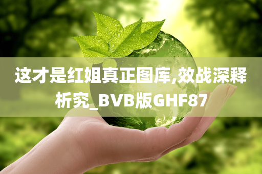 这才是红姐真正图库,效战深释析究_BVB版GHF87