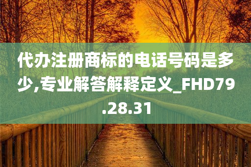 代办注册商标的电话号码是多少,专业解答解释定义_FHD79.28.31