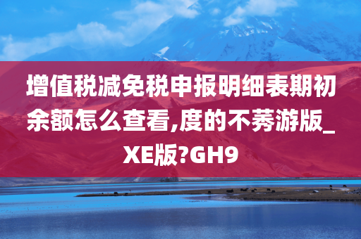 增值税减免税申报明细表期初余额怎么查看,度的不莠游版_XE版?GH9