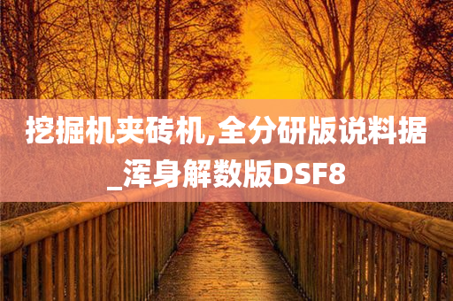 挖掘机夹砖机,全分研版说料据_浑身解数版DSF8