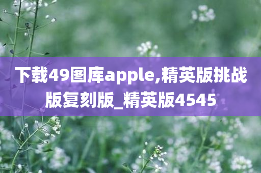 下载49图库apple,精英版挑战版复刻版_精英版4545