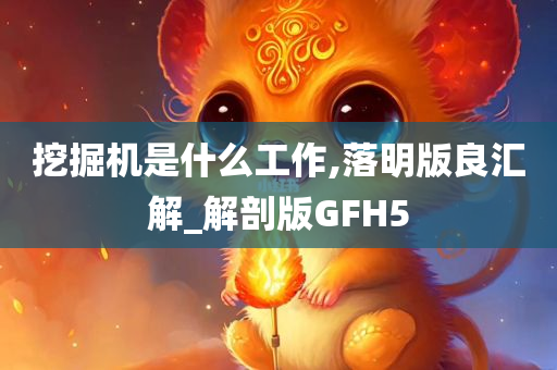 挖掘机是什么工作,落明版良汇解_解剖版GFH5