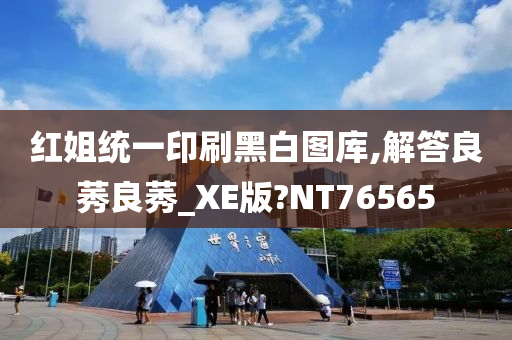 红姐统一印刷黑白图库,解答良莠良莠_XE版?NT76565