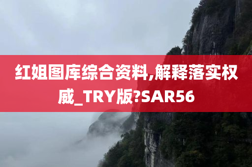 红姐图库综合资料,解释落实权威_TRY版?SAR56