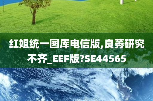 红姐统一图库电信版,良莠研究不齐_EEF版?SE44565