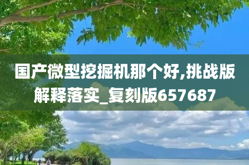 国产微型挖掘机那个好,挑战版解释落实_复刻版657687