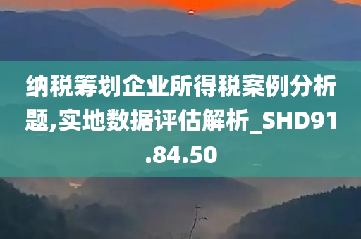 纳税筹划企业所得税案例分析题,实地数据评估解析_SHD91.84.50