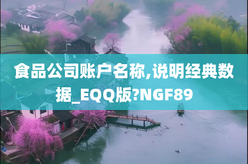 食品公司账户名称,说明经典数据_EQQ版?NGF89