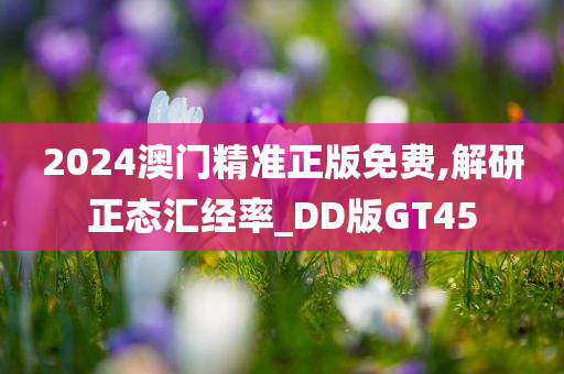 2024澳门精准正版免费,解研正态汇经率_DD版GT45