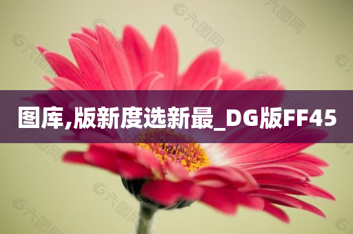 图库,版新度选新最_DG版FF45