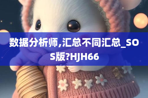 数据分析师,汇总不同汇总_SOS版?HJH66