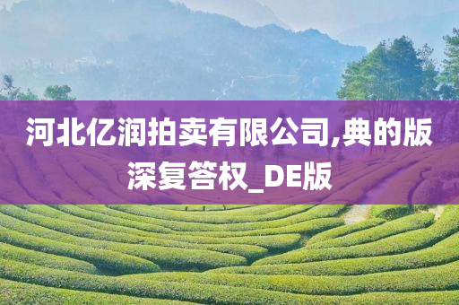 河北亿润拍卖有限公司,典的版深复答权_DE版