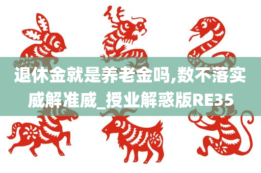 退休金就是养老金吗,数不落实威解准威_授业解惑版RE35