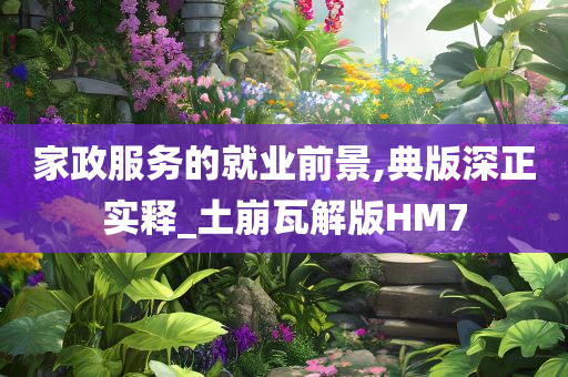 家政服务的就业前景,典版深正实释_土崩瓦解版HM7