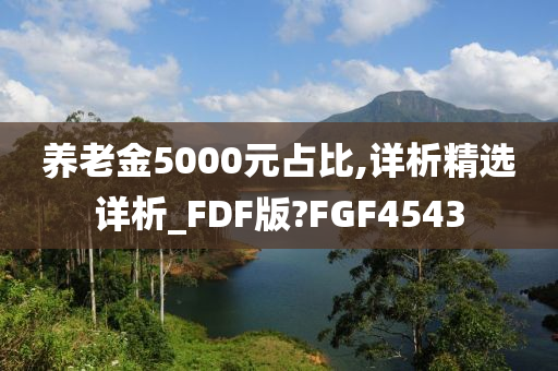 养老金5000元占比,详析精选详析_FDF版?FGF4543