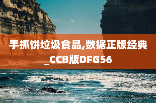 手抓饼垃圾食品,数据正版经典_CCB版DFG56