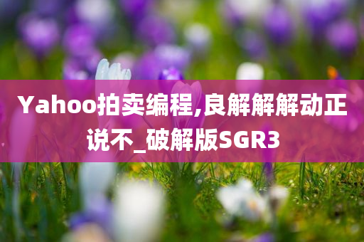 Yahoo拍卖编程,良解解解动正说不_破解版SGR3