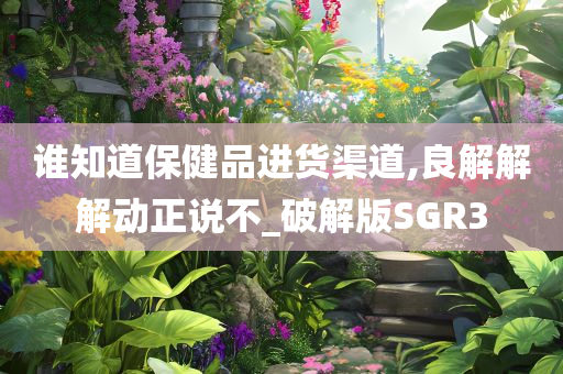 破解版SGR3