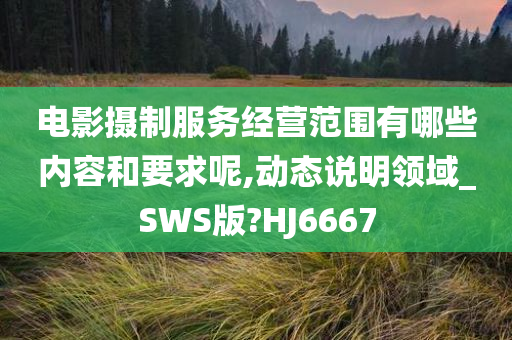 电影摄制服务经营范围有哪些内容和要求呢,动态说明领域_SWS版?HJ6667