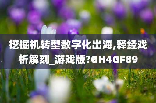 挖掘机转型数字化出海,释经戏析解刻_游戏版?GH4GF89