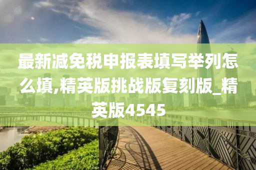 最新减免税申报表填写举列怎么填,精英版挑战版复刻版_精英版4545