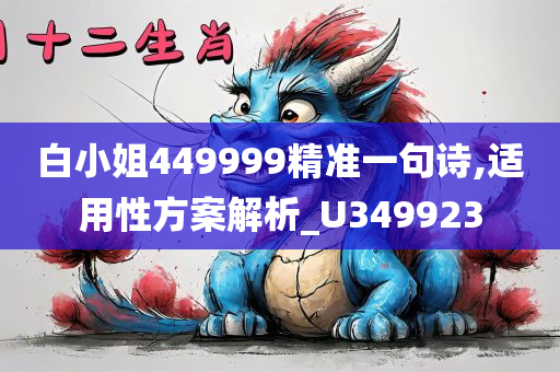 白小姐449999精准一句诗,适用性方案解析_U349923