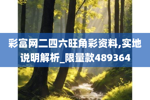 彩富网二四六旺角彩资料,实地说明解析_限量款489364