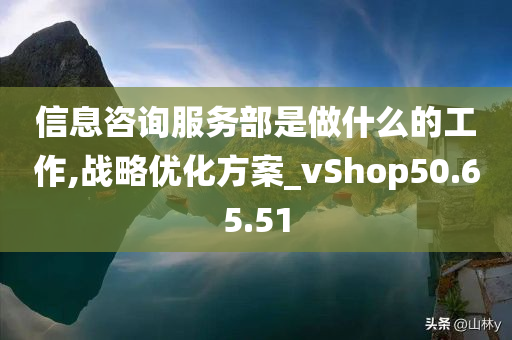 信息咨询服务部是做什么的工作,战略优化方案_vShop50.65.51