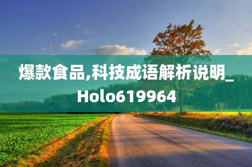 爆款食品,科技成语解析说明_Holo619964