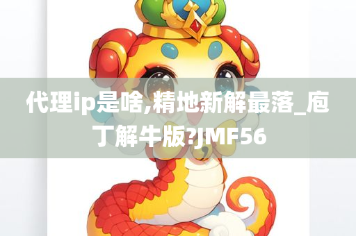 代理ip是啥,精地新解最落_庖丁解牛版?JMF56