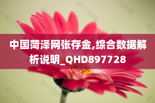 中国菏泽网张存金,综合数据解析说明_QHD897728