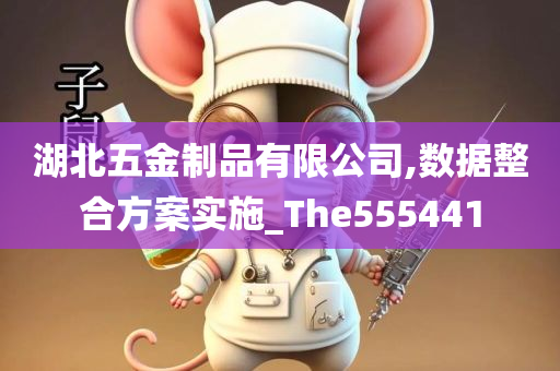 湖北五金制品有限公司,数据整合方案实施_The555441