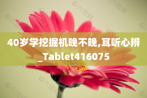 40岁学挖掘机晚不晚,耳听心辨_Tablet416075