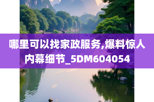 哪里可以找家政服务,爆料惊人内幕细节_5DM604054