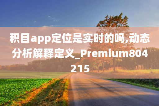 积目app定位是实时的吗,动态分析解释定义_Premium804215