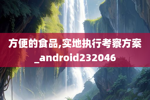 方便的食品,实地执行考察方案_android232046