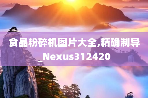 食品粉碎机图片大全,精确制导_Nexus312420