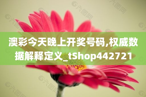 澳彩今天晚上开奖号码,权威数据解释定义_tShop442721