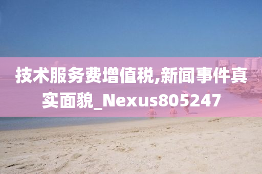 技术服务费增值税,新闻事件真实面貌_Nexus805247