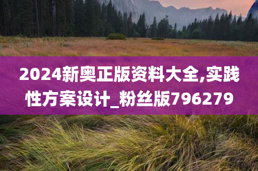 2024新奥正版资料大全,实践性方案设计_粉丝版796279